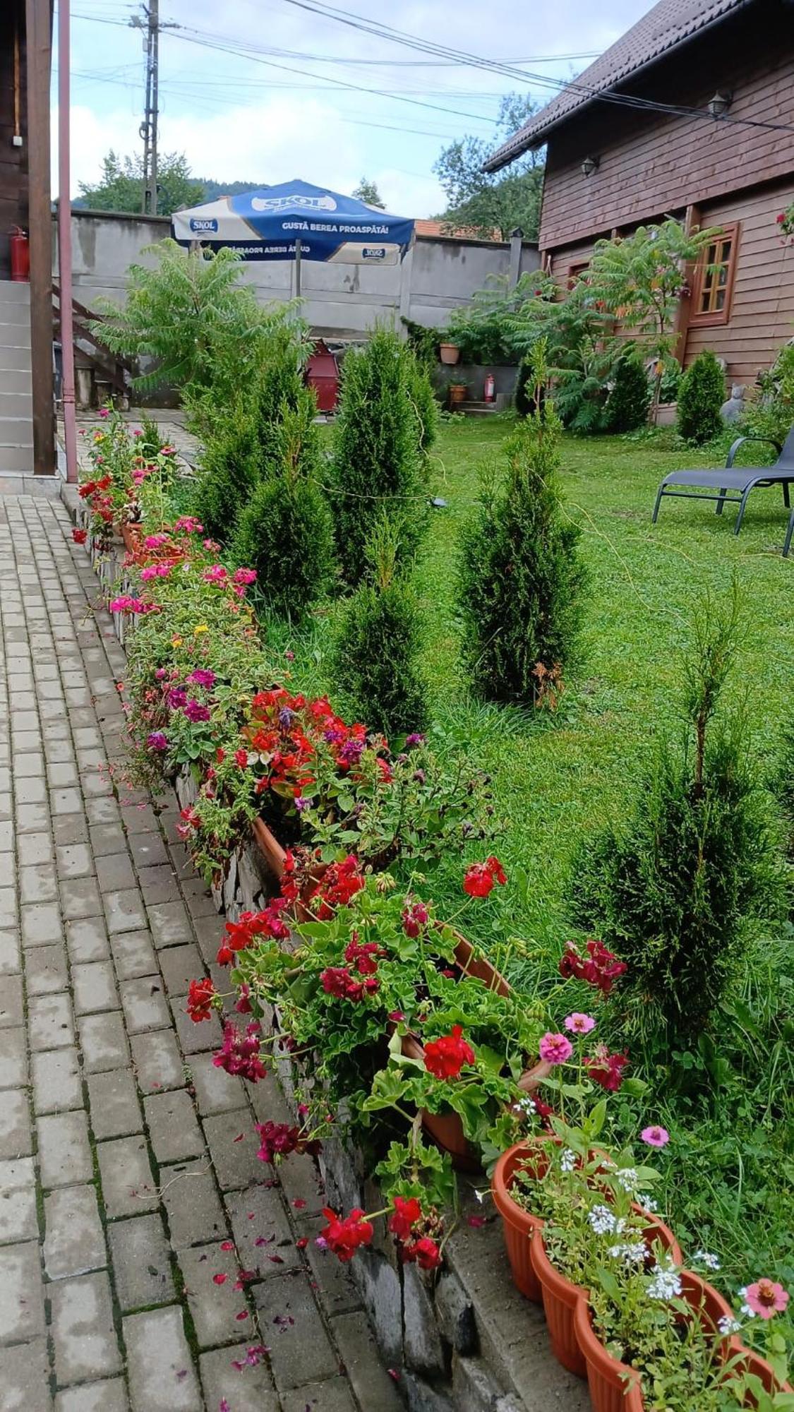 Pensiunea Carmen Bucium  Экстерьер фото